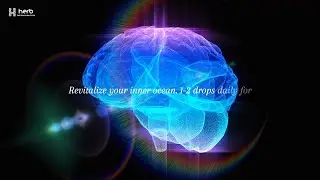 Methylene Blue Drops: The Brain Boost You've Never Heard Of (Safe Use Guide)