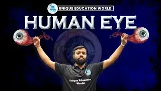 👁 HUMAN EYE Explained | Structure, Functions, Vision Process & Defects | Full Chapter&nbsp;in&nbsp;One&nbsp;Video