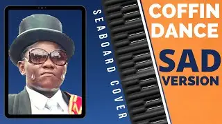 COFFIN DANCE SAD VERSION | SEABOARD COVER