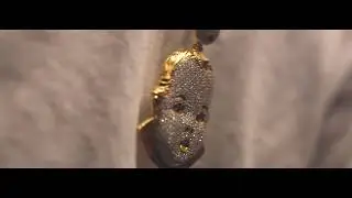 Tay B x Babys World - Timeless (Official Music Video)