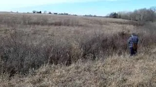 A little rabbit hunt