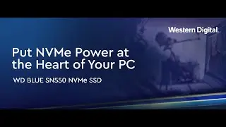 Western Digital WD SN550 250GB NVMe Internal SSD - 2400MB/s R, 950MB/s W, #WDSN550NVME