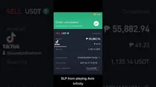 A month playing of Axie Infinity (possible income in PHP)