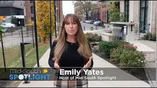 DOWNTOWN MEMPHIS TRAVEL