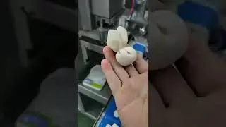 TF- 35自动馄饨机 #Wonton Machine #Huntun Machine #餛飩機 #雲吞機 #Dim Sum Machine #自動點心成型機 #馄饨机 #云吞机
