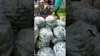 रेवाड़ी सब्जी मंडी भाव #virel #short #रेवाड़ी #Rewari #रेवाड़ीमंडीभाव