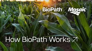 BioPath&reg; by Mosaic | Unlock Crop Potential