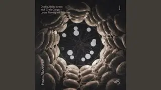 Disruption (Lucas Romagnoli Remix)