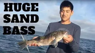 Long Beach Breakwall Bass Fishing Frenzy