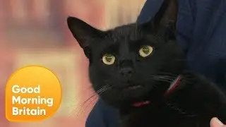 Ben Brings a Black Cat Into the Studio on Friday the 13th! | Good Morning Britain