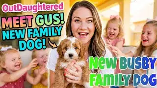OutDaughtered&rsquo;s Danielle Busby Reveals New Family Dog Gus | Adorable Busby Puppy Introduction