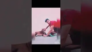 DOG LOVER #shorts