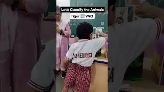 Interesting Kindergarten animal activity in classroom | Raj Vedanta School #kindergartenactivities