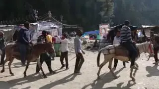 AMARNATH TEMPLE POOJA