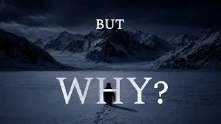 Но почему? | Nihilist Penguin Edit