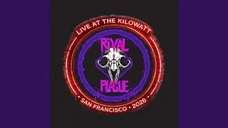 Soul Surfer (Live at the Kilowatt)