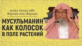 Описание этой уммы/Салих аль Фаузан\