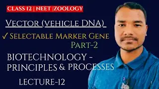 Vector (Vehicle DNA) Selectable Marker Gene||Class 12 Zoology|NCERT/NEET