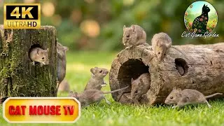 Cat TV Mouse Game 🌿 Realistic Mice In Natural Leaf Maze 4K | Cat Game Garden