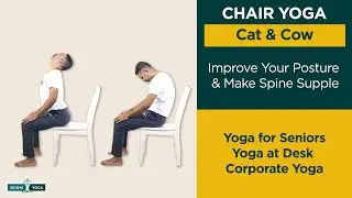 Chair Yoga: Cat & Cow, Improve Posture, Supple Spine | Yoga For Seniors,Yoga at Desk, Corporate Yoga
