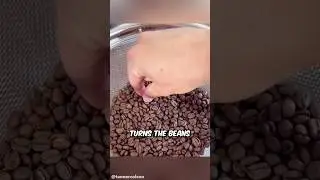 Black Ivory Coffee Explained