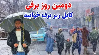 Second day of Kabul Snow, گزارش ویژه توحید از دومین روز بارش سنگین برف در کابل