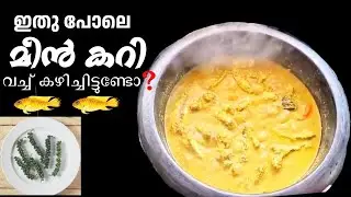 FISH CURRY IN KERALA STYLE | Simple &Tasty  Fish Curry  | #food  #keralastylefishcurry 