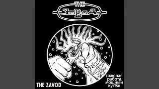 Мы Всегда Будем Против / Antifascist resistance