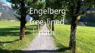 Engelberg tree-lined path