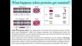 Protein Folding & Structure determination | Week-3 | NPTEL | Fundamentals of Protein Chemistry 2024