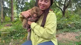 Unbreakable Connection: Sheba's Unconditional Love for a New abandoned baby Royston