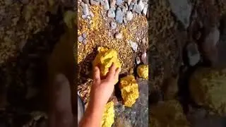 Gold Discovery #india #gold #golddiscovery #treasure #goldmining #treasurehunt