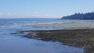 Labor Day low tide Manitou Beach by Clarence Moriwaki