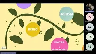BILOGIA  1RO SISTEMAS SUPLETORIO CLASE 2