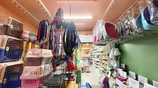 Dog Food Cat Food Accessories Supplier, Saan Makakahanap? - Usapang Negosyo (Yam Pet Supplies)
