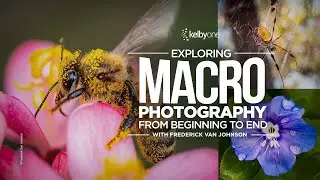 Exploring Macro Photography from Beginning to End with Frederick Van Johnson