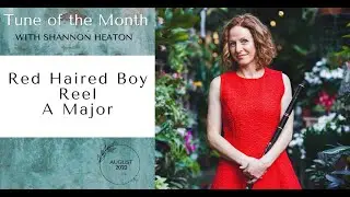 Red Haired Boy [Reel] - Tune of the Month with Shannon Heaton