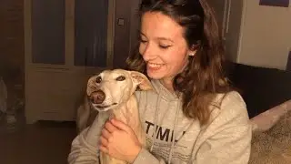 ASMR “galgoterapia”/greyhound therapy 🐶 | susurros y caricias con mi perrita 🧡 🐾