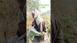 #comedy #funny video 📷📸 sorts viral video sorts really sot 👎👎 youtube sorts