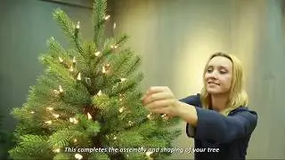 Puleo International Christmas Tree Assembly Video 2017