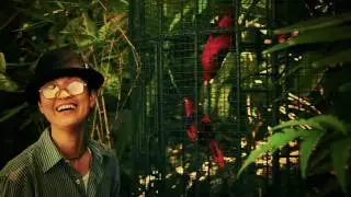 Legendary Adventures of Davao Jones