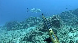Приключения подводной охоты на Гавайях: UKU, Ulua и Mu (CCC)