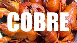 COBRE - Funções, benefícios e alimentos ricos em Cobre