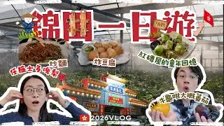 【🇭🇰元朗錦田一日遊】🏮紀錄錦田十年一屆最後繁華 🧑🏻‍🌾隱世任摘本地士多啤梨園 🍓 + 探索紅磚屋｜香港一日遊｜BUDU JOURNEY