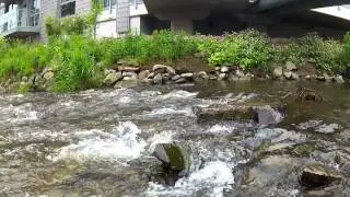 ActionCamTest 01 Nex GoPro Somikon