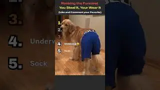 Ranking The Funniest You Steal It, You Wear It