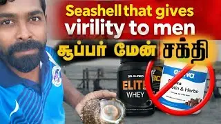 ஆண்களுக்கு ஏற்ற கடல் சங்கு கறி உணவு 💥|Men fertility problem Solution for this Sea Conch meat 