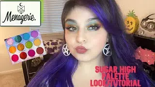 Sugar High Palette | Menagerie Cosmetics 💚🍬🍦