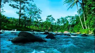 Waterfall Gentle Stream Sound in forest 24/7. Waterfall Sounds, Flowing Water, White Noise for Sleep