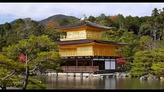 Temple of the Golden Pavilion in Kyoto, Japan | Healthy Julio